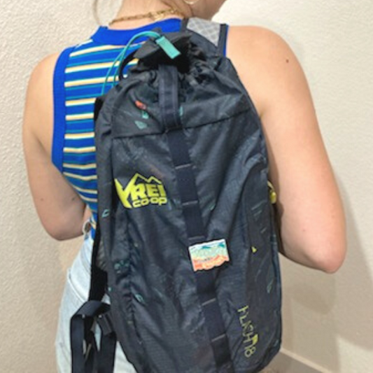 Adventures in Good Company Collectors Pin